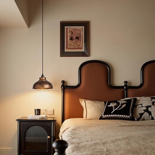 Plug in Pendant Light