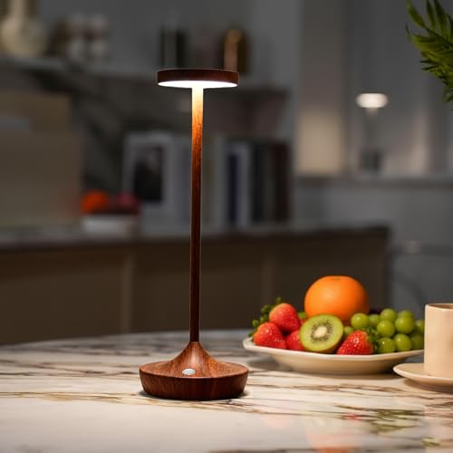 2 Pack Cordless Table Lamps