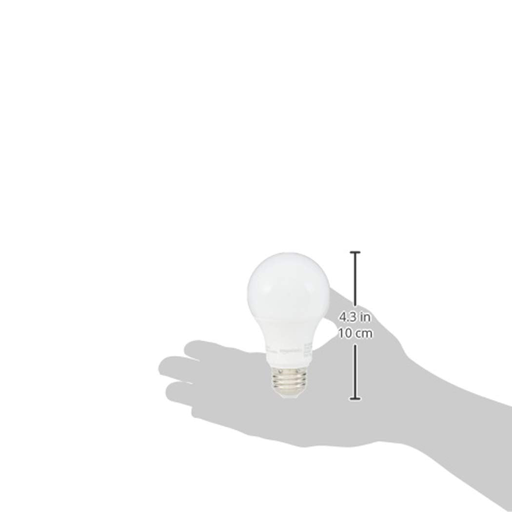 A19 LED Light Bulbs (6 Count)