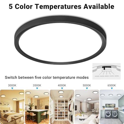 2 Pack LED Flush Mount Ceiling Light