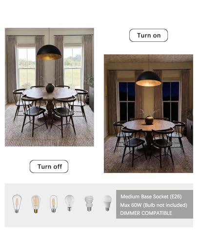 15 Inch Black and Gold Pendant Light