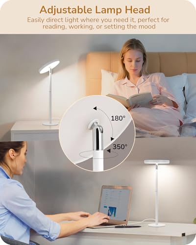 LED Desk Lamp