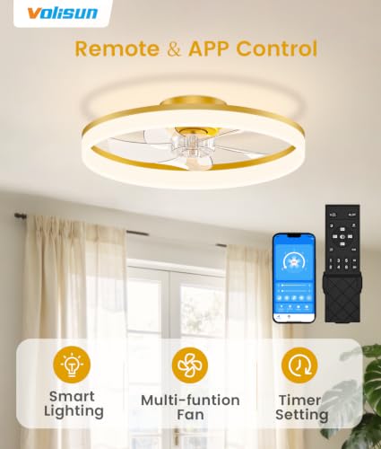 Low Profile Ceiling Fans with Lights and Remote