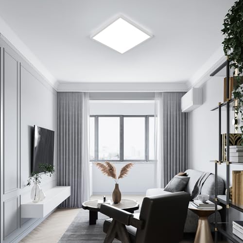 2 Pack 12 inch Flush Mount Ceiling Light (2 Count)