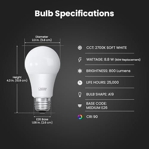 A19 LED Light Bulbs (4 Count)