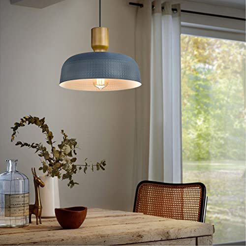 Pendant Light Fixtures Ceiling Hanging with Hammered Metal Shade