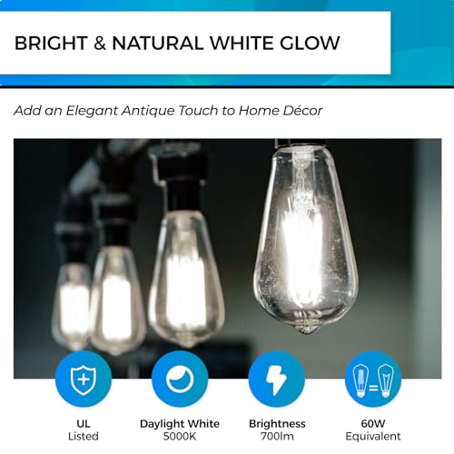Edison Bulbs Dimmable (12 Count)