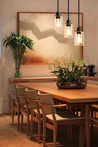 Industrial 3 Light Pendant Light Fixture Clear Glass