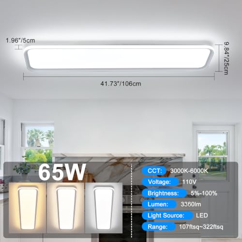 Modern LED Ceiling Light