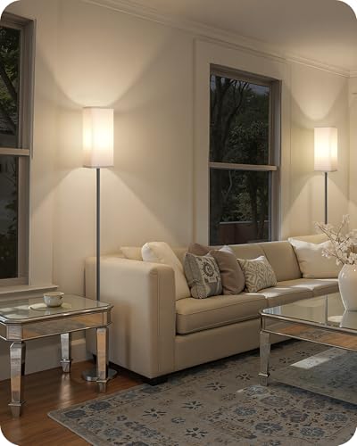 2Pack Floor Lamp