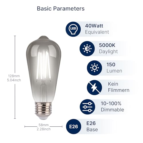 LED Edison Bulbs (4 Count)