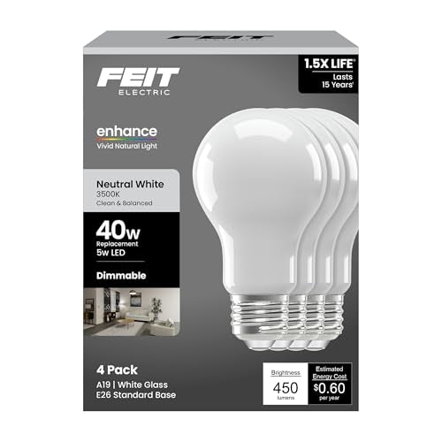 A19 LED Light Bulb (4 Count)