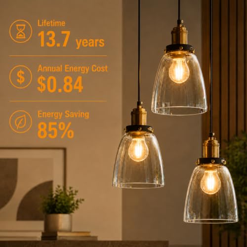 A19 Vintage Dimmable LED Light Bulbs (12 Count)