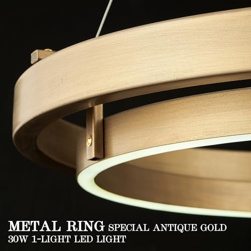 LED Ring Chandelier Brass Gold Chandeliers Dimmable