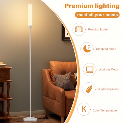 LED Floor Lamp with Remote Control