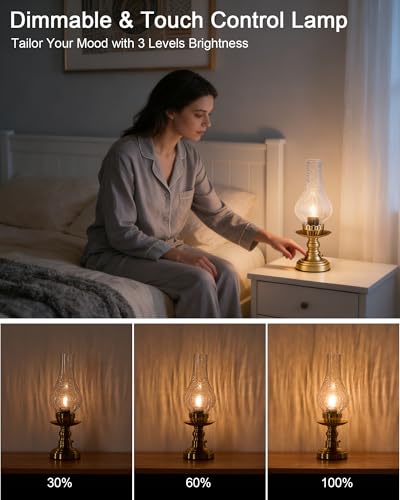 Vintage Rechargeable Cordless Table Lamp Battery Operated