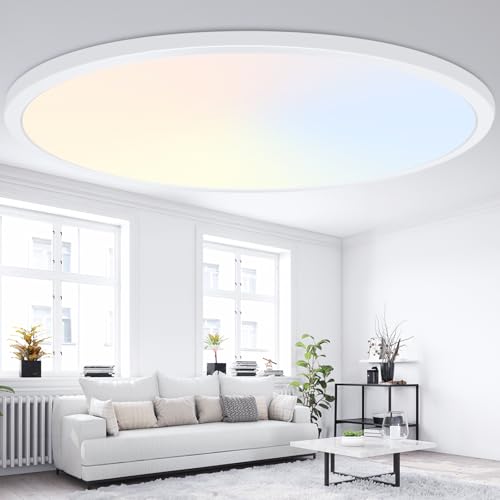 19 Inch Dimmable Large Flush Mount Ceiling Light Fixture
