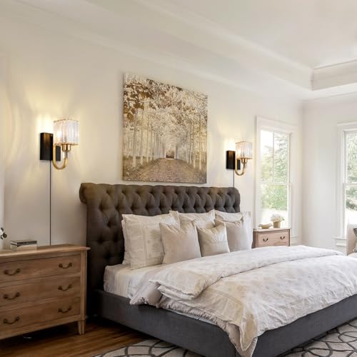 Modern Crystal Wall Sconce with Plug