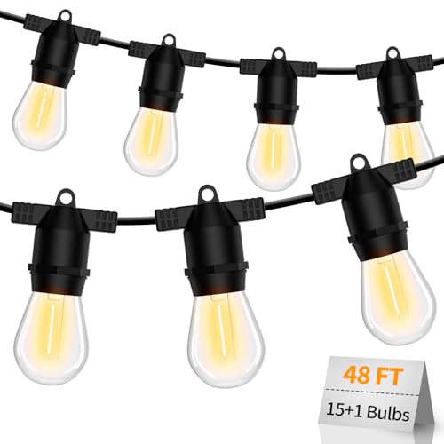 S14 LED Outdoor String Lights (48 Foot)