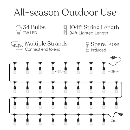 Ambience Pro 105Ft LED String Lights (105 Foot)