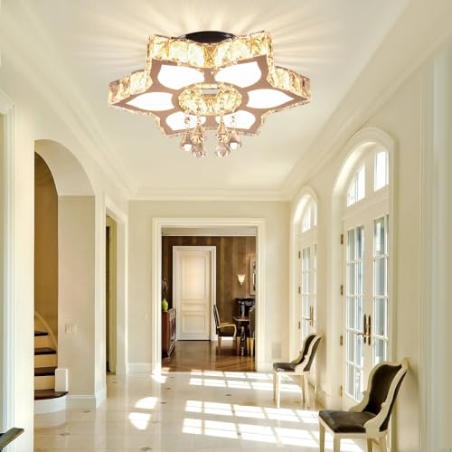 16.1" Dimmable Flower Crystal Ceiling Light