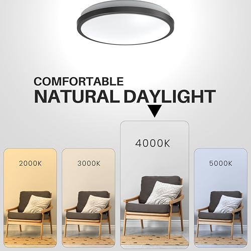 10" Matte Black LED Ceiling Light Flush Mount Lighting Fixture Dimmable Daylight for Bathroom Kitchen Laundry Room Closet