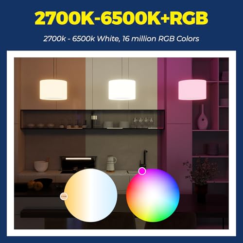 Smart Bulbs 100W Work with Alexa (2 Count)