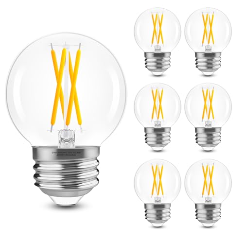 E26 Base G16.5 Edison Globe LED Bulb (6 Count)