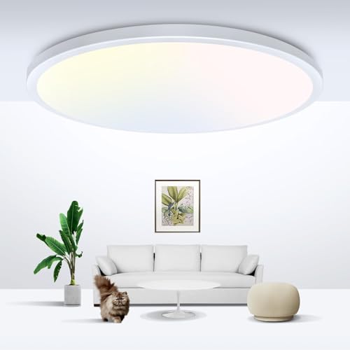 LED Ceiling Light Flush Mount Super Slim 9 Inch 24W 2400lm Ceiling Lights with 3 Color Temperature in One 3000k
