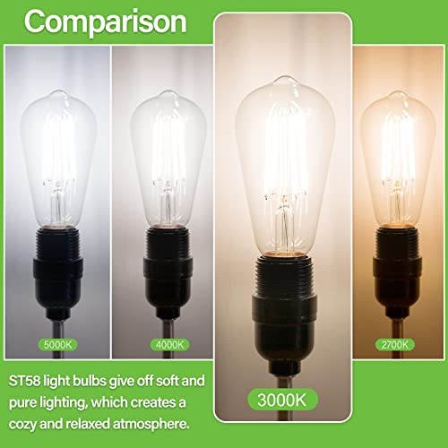 Vintage LED Edison Bulbs 60 Watt Equivalent (12 Count)