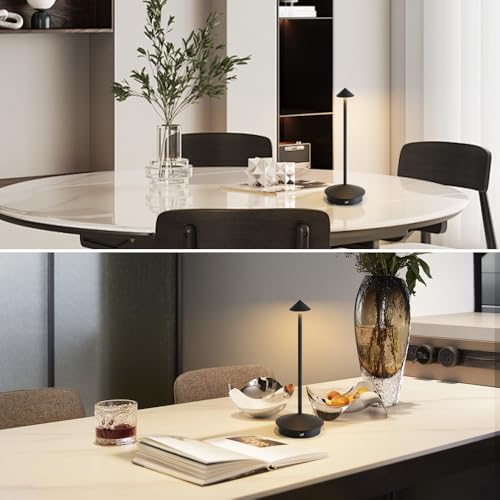 2 Pack Aluminum Cordless Table Lamp (2 Count)
