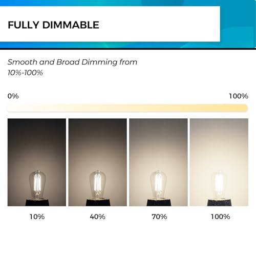 Edison Bulbs Dimmable (24 Count)