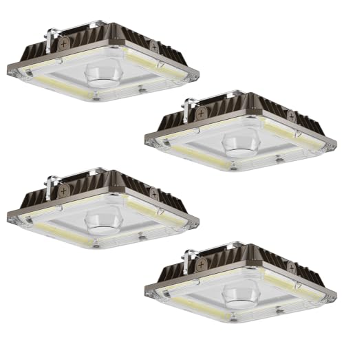 LED Canopy Lights (4 Count)