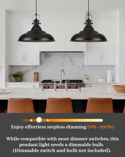 16 Inch Black Pendant Light