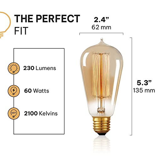 Vintage Incandescent Edison Light Bulbs (4 Count)