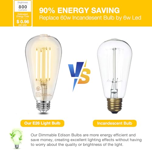Vintage LED Edison Bulbs (12 Count)