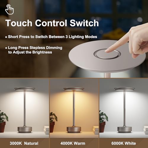 2 Pack Cordless Table Lamps Rechargeable (2 Count)