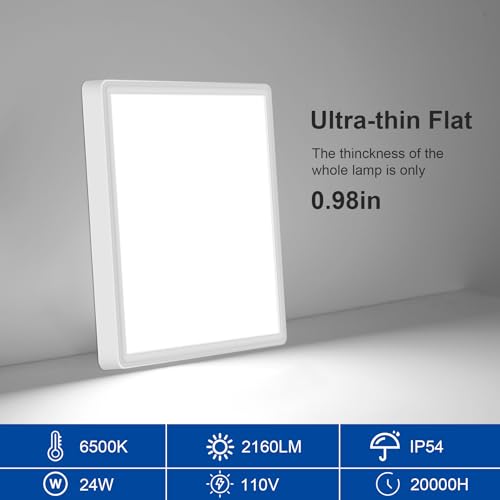 12 Inch Flush Mount Ceiling Light