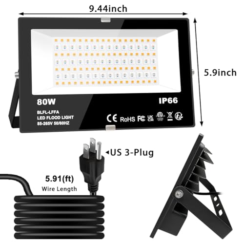 LED Flood Light Outdoor 80W (4 Count)