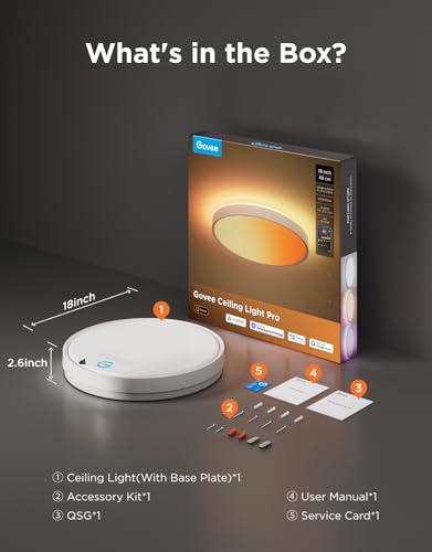 Smart Ceiling Light Pro