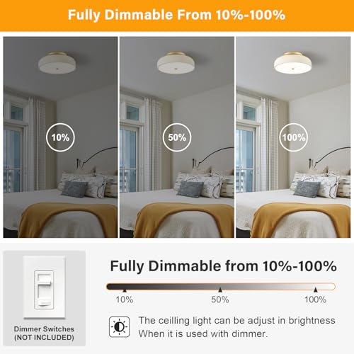 Dimmable LED Ceiling Light Fixture