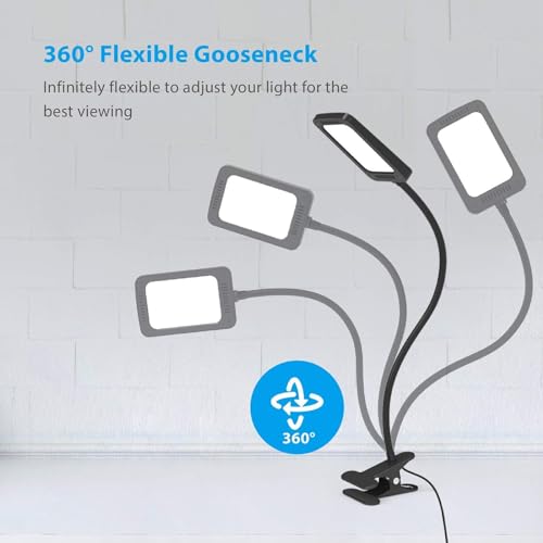 LED Desk Lamp with Clamp