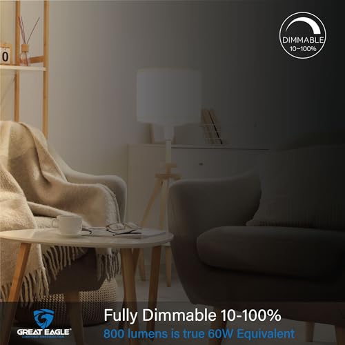 100W Equivalent LED A19 Light Bulb 1500 Lumens Cool White 4000K Dimmable UL Listed (6 Count)