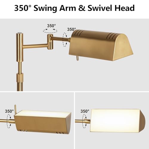 Dimmable LED Pharmacy Floor Lamps