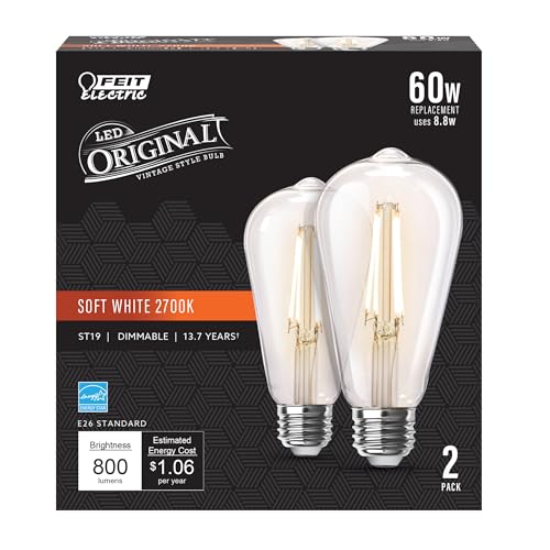 ST19 Vintage Edison LED Light Bulb (2 Count)
