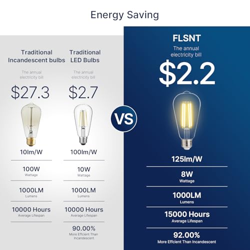 100W Equivalent LED Edison Bulbs (6 Count)