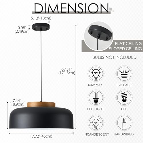 Large Pendant Light Fixture