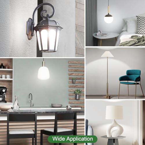 100Watt Equivalent LED Light Bulbs 5000K Daylight (16 Count)