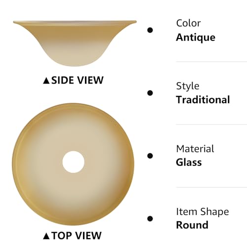 Antique Glass Lamp Shade for Floor lamp