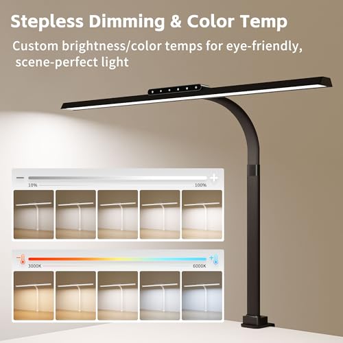 Clamp on Desk Lamp